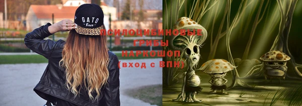 PSILOCYBIN Сосновый Бор