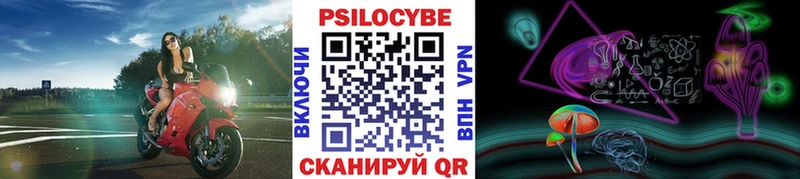Псилоцибиновые грибы мицелий Высоковск